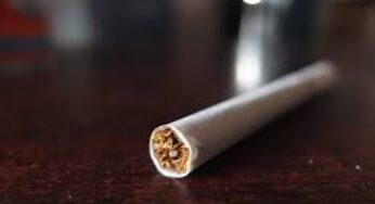 Perjalan Penuh Tembakau Sampai Industri Rokok