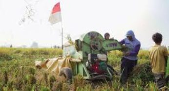 Program Intervensi Perberasan Bapanas Tetap Jalan 2026
