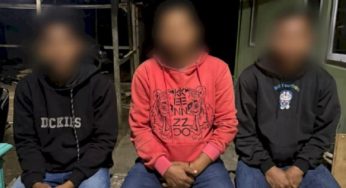 Burung Hantu Dibakar Hidup-Hidup karena Isu Ilmu Hitam